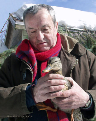 Adieu à mon bon ami Pierre Roy, ami aux canards