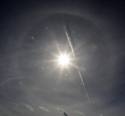 Halo and Contrail Shadow