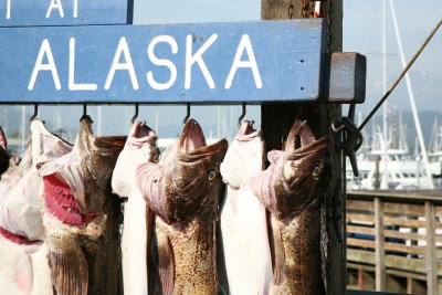 Day in Seward, Alaska