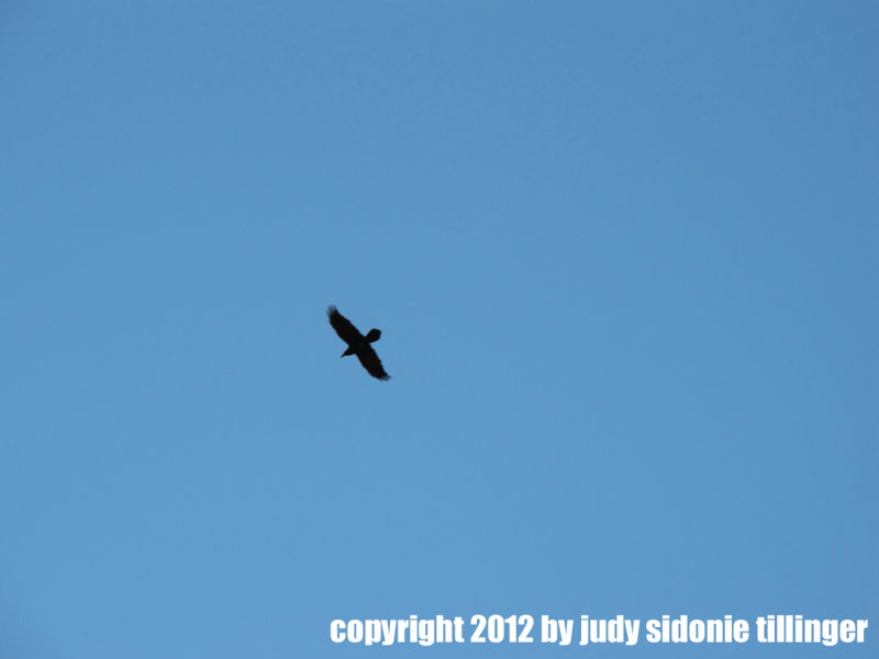 10192012_ghostranch161.jpg