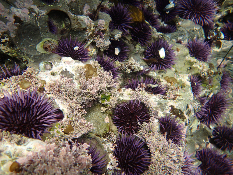 PB230764.jpg