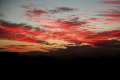 IMG_2310 (800x533).jpg