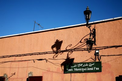 IMG_2568.JPG