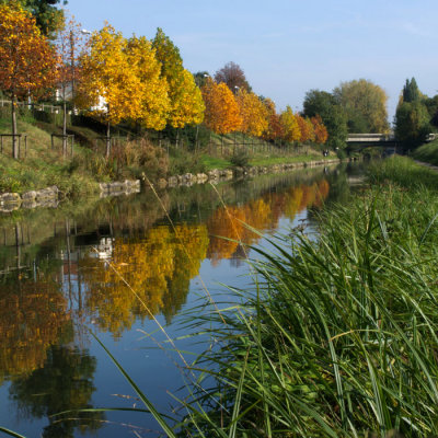 Canal d'automne