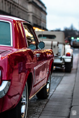 Pink-Mustang