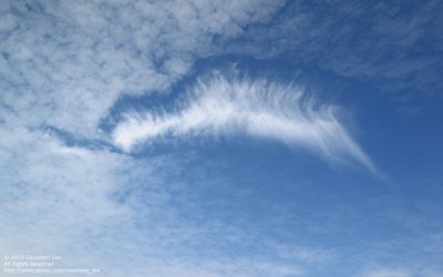 When cirrus met altocumulus