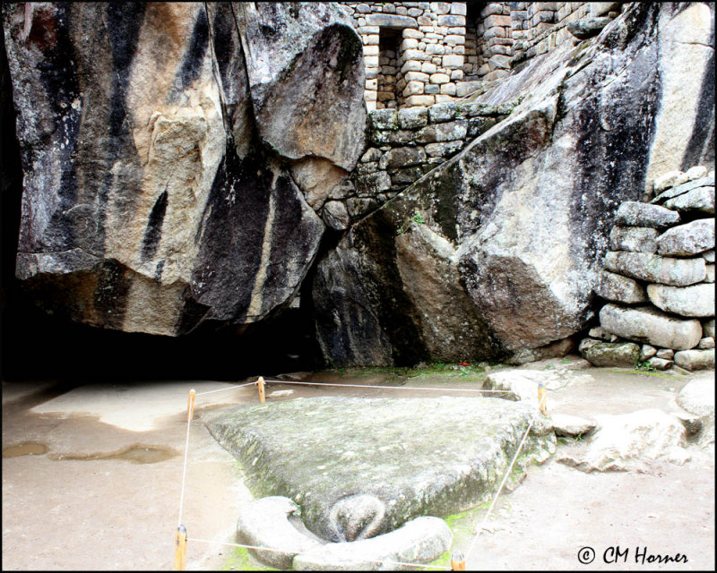4217 Condor in stone.jpg