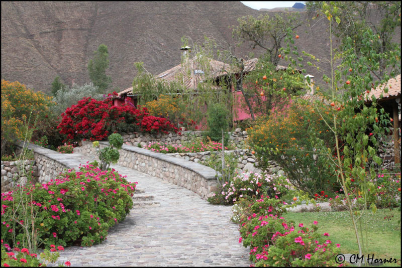 4249 Garden at Sol y Luna.jpg