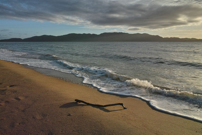 branch on beach early morning<p>_SDI0165