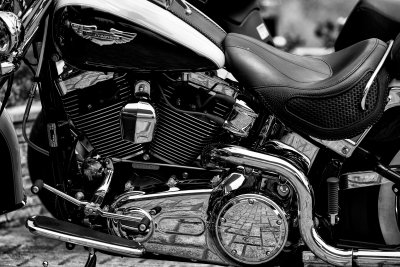Harley8.jpg