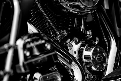 Harley10.jpg