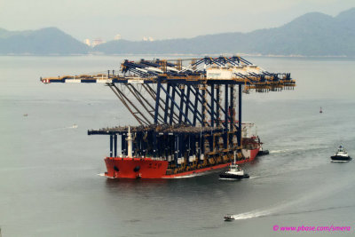 Zhen Hua 10 - 15 fev 2013_6341.JPG