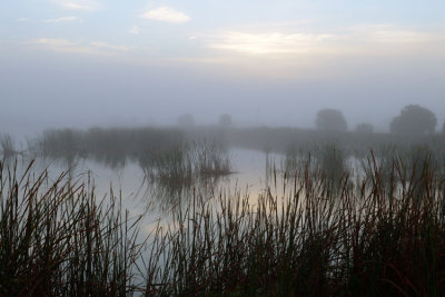 20121217 Foggy Morn at South Click Pond  _8641