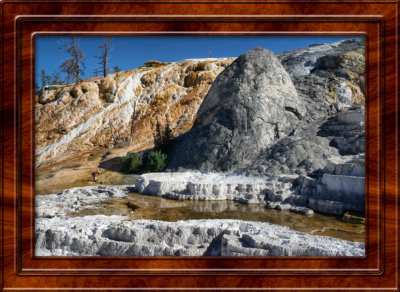 July 24 Yellowstone National Park