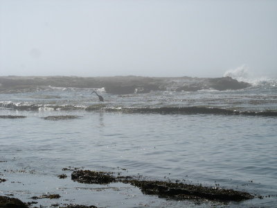 resized_0027.jpg