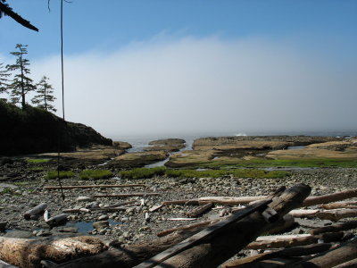 resized_0031.jpg