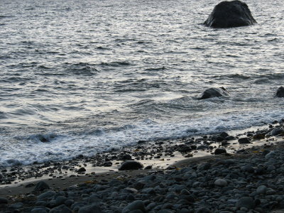 resized_0090.jpg