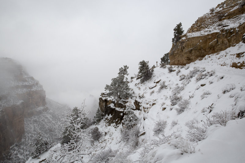Grand Canyon-20.jpg