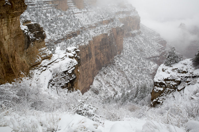 Grand Canyon-22.jpg