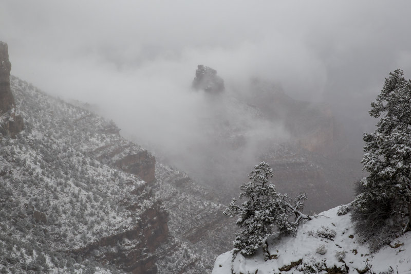 Grand Canyon-23.jpg
