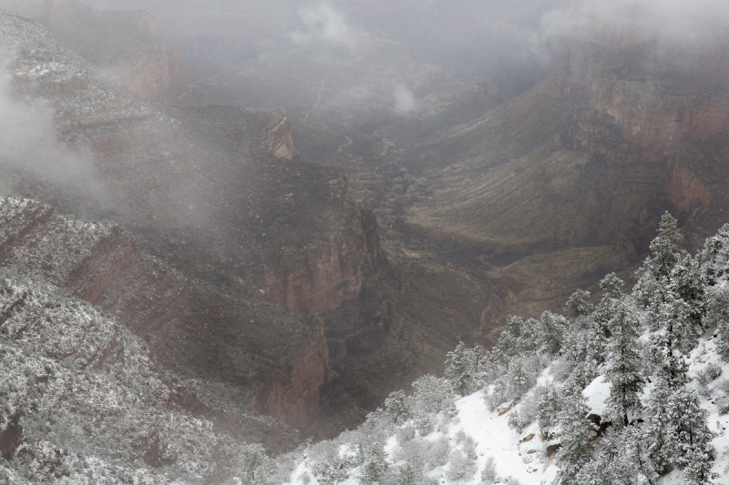 Grand Canyon-28.jpg