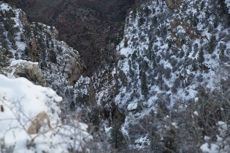 Grand Canyon-35.jpg