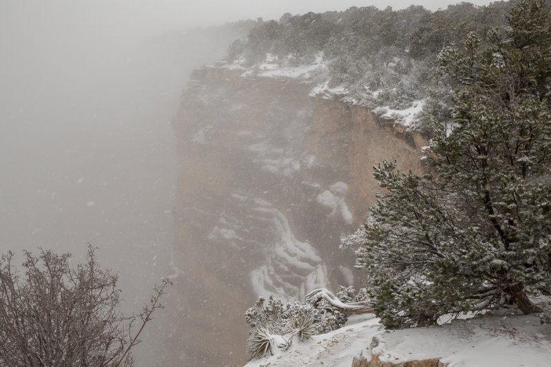 Grand Canyon-6.jpg
