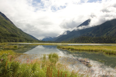 Homer Alaska and the Kenai Peninsula