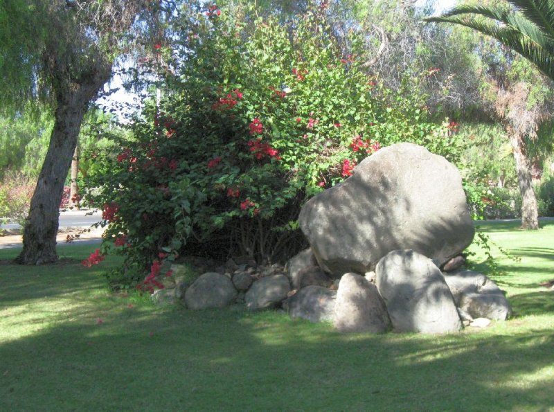 Big Stones, Flowers, Trees...