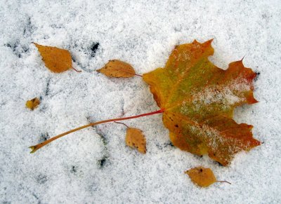 First Snow In Helsinki