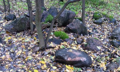 Stones and Trunks