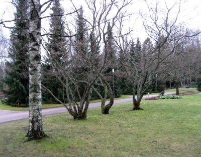 Park, Maunula Urn Cemetery