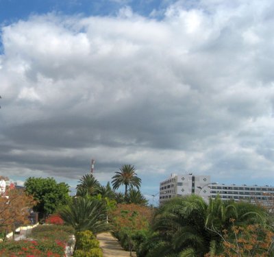 View Of Playa del Ingls