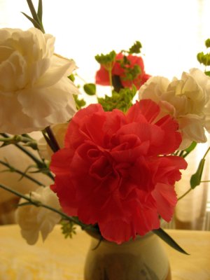 Carnations 3 (3)