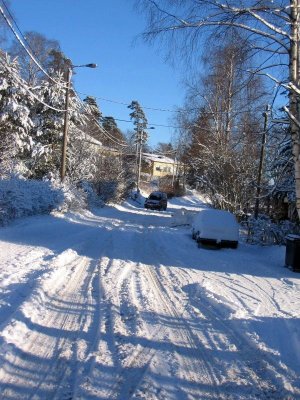 Much snow!
