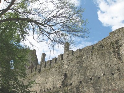 The Castle Wall