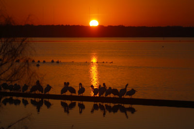 Sunrise at Mitchell Lake Audubon Center