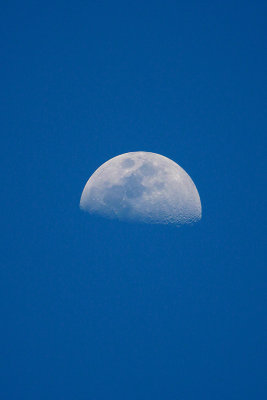 Moon over the Island 01/19/2013
