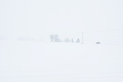 February 4, 2013