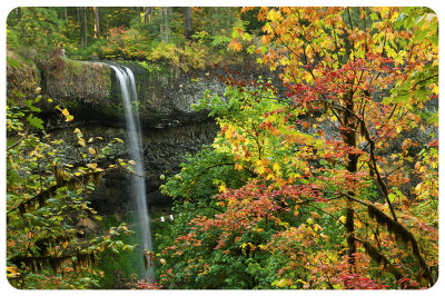  Autumn at the south falls