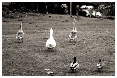 Friends stick together