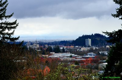 View of eugene from hendricks park