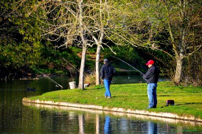 Let's go fishing