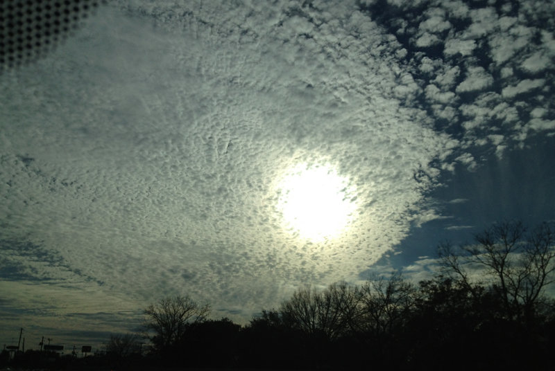 20130119-IMG_1985-2.jpg