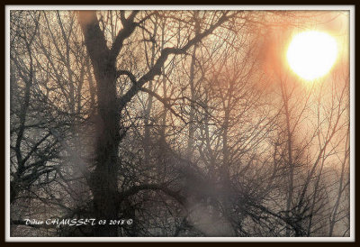 Lev de soleil sur les marais