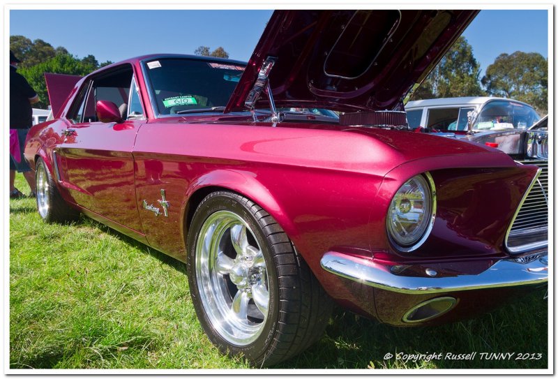 Summernats 2013 Show & Shine Cars