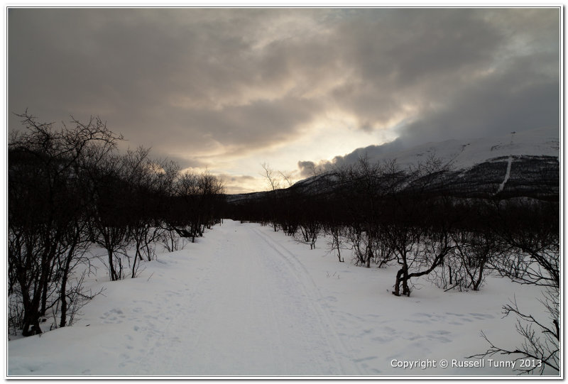 Walking track