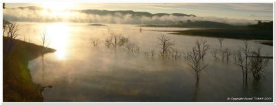Early Morning Fog at Lake Windamere