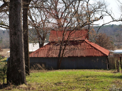 Neat roof