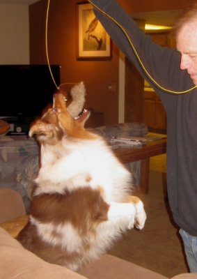 Caught Mouse !